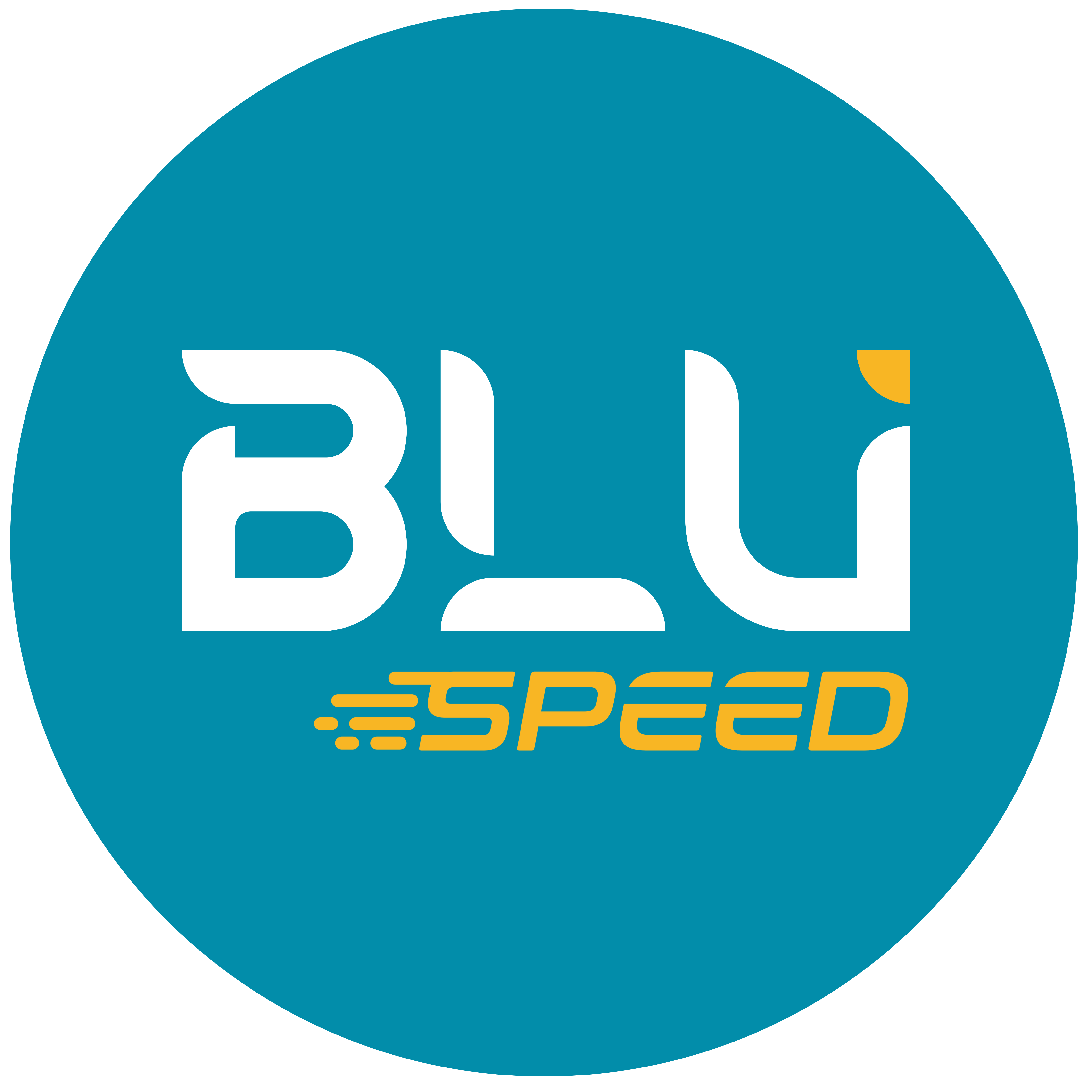 Logo BLU